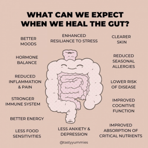 Heal The gut